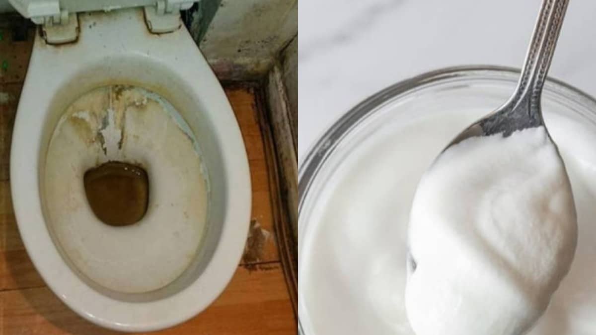 Ρίξτε ένα κεσεδάκι γιαούρτι στη λεκάνη, κλείστε το καπάκι και… voilà – Το αποτέλεσμα θα σας σοκάρει!