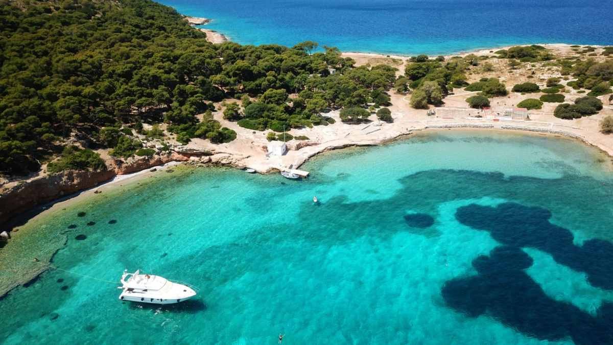 Σπάνια ομορφιά: Το νησί του Σαρωνικού με τους… περίεργους κατοίκους – Ο όρος για να το επισκεφτείτε (Video)