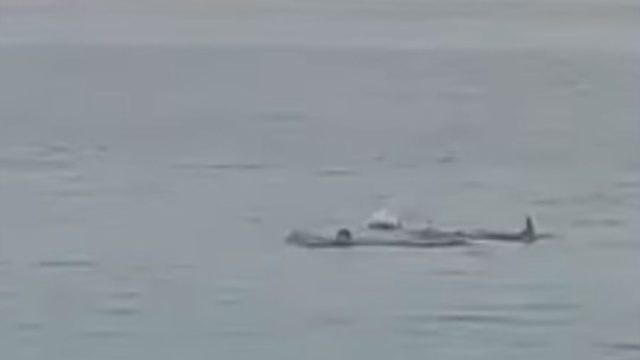 Πολύ σκληρές εικόνες: Σοκαριστικό βίντεο με καρχαρία να κατασπαράζει 23χρονο μπροστά στα μάτια του πατέρα του