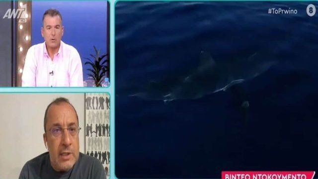 Μεγάλος καρχαρίας έκανε την εμφάνισή του στην Σέριφο! Έντρομοι βαρκάδες (video)