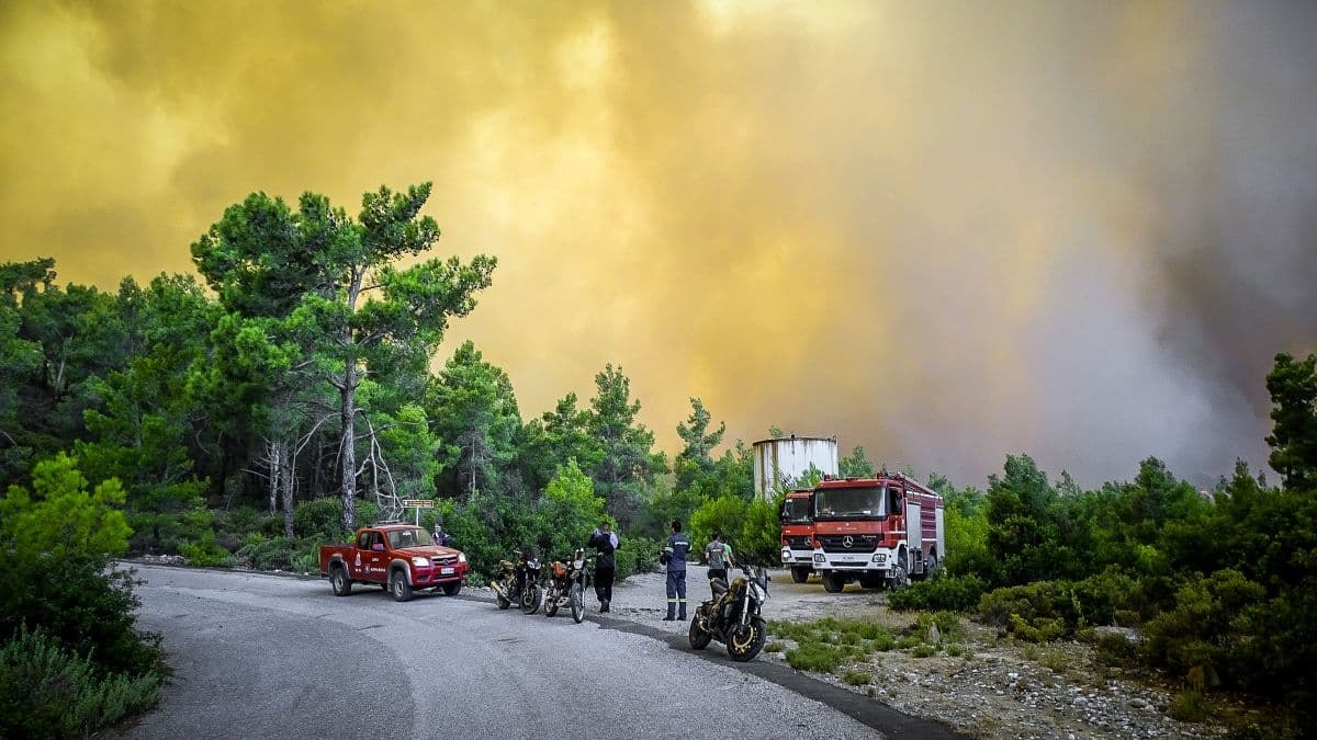 Μεγάλη αναζωπύρωση στο Ασκληπιείο Ρόδου: Οι φλόγες στις αυλές των σπιτιών!