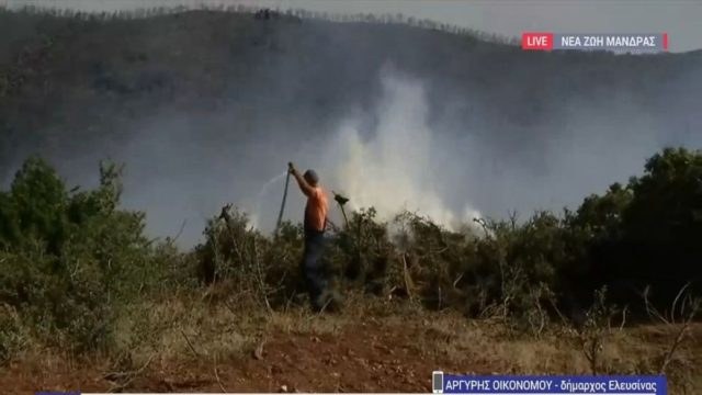 Αγωνιώδης κραυγή απο τον δήμαρχο Ελευσίνας: «Ζητώ βοήθεια! Χωρίς αεροπλάνα δεν λύνουμε το θέμα» – 20 μέτρα από το πρώτο σπίτι στον Νέο Πόντο η φωτιά (Video)