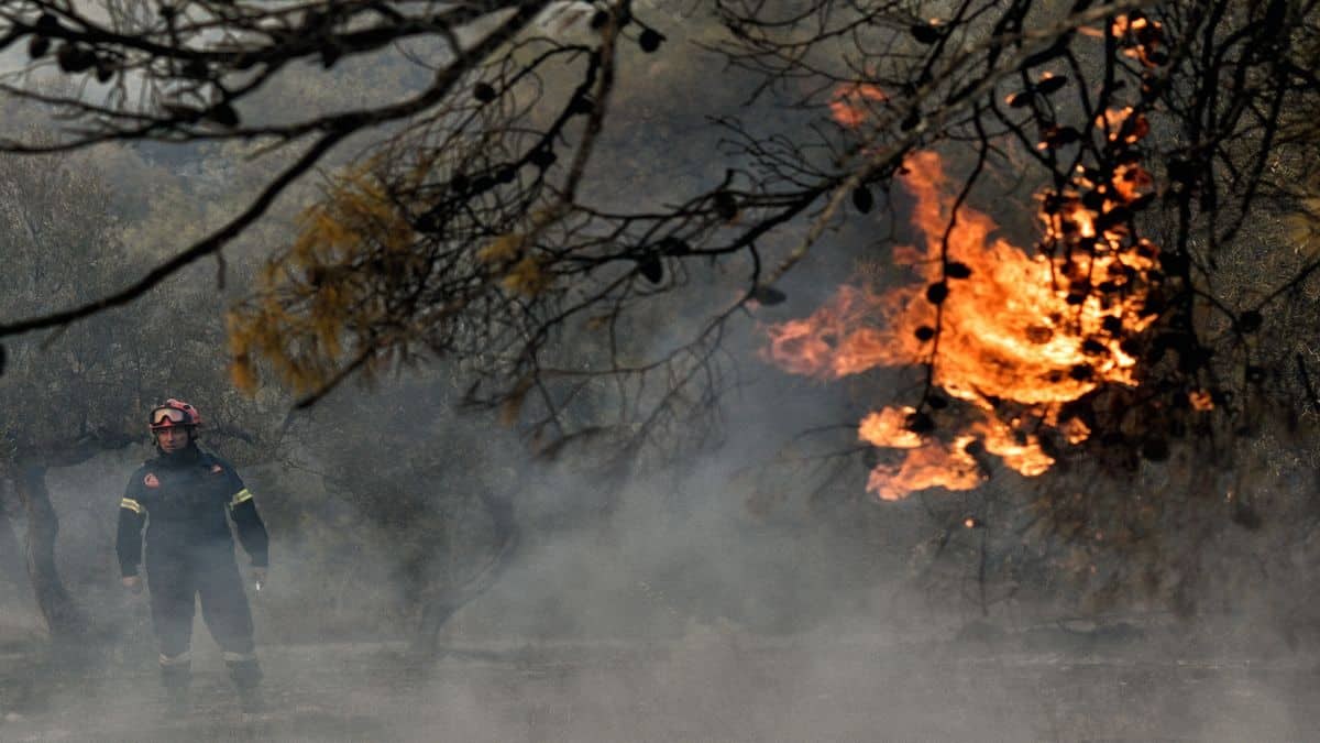 Μεγάλη φωτιά στον Ωρωπό – Που έχει διακοπέι η κυκλοφορία