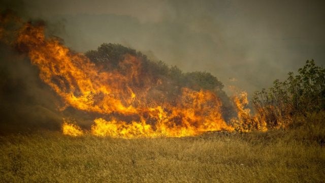 Πυρκαγιά στη Ρόδο: Μήνυση για εμπρησμό από πρόθεση των δασών της Ρόδου θα υποβάλει ο δήμαρχος – Ποια αδικήματα θα αφορά