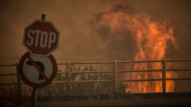Φωτιά στην Τανάγρα Βοιωτίας – Μεγάλη κινητοποίηση από την Πυροσβεστική