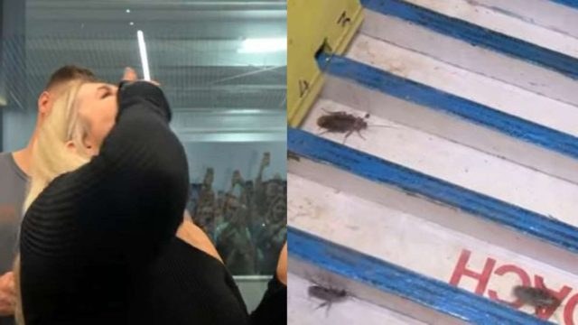 Αυτό είναι το μέρος όπου οι κατσαρίδες είναι «πρωταθλήτριες»: Ο αγώνας που παίρνουν μέρος και η νικήτρια τρώγεται ζωντανή (video)