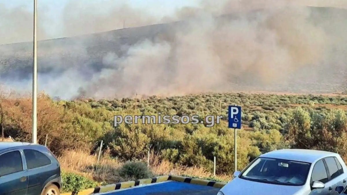 Φωτιά στον Πρόδρομο Βοιωτίας – Μήνυμα 112 στους κατοίκους της περιοχής