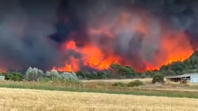 Φωτιά στην Αλεξανδρούπολη: Ανεξέλεγκτο το μέτωπο – Ενισχύθηκαν ξανά οι άνεμοι