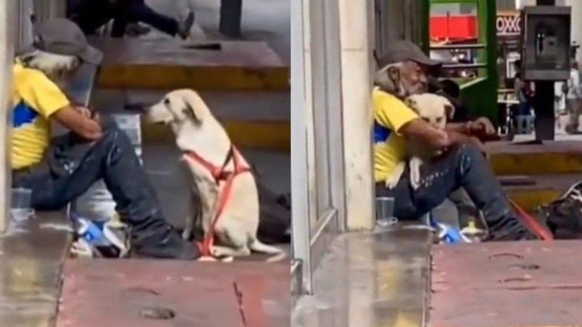 Συγκινητικό: Σκύλος πλησιάζει άστεγο και τον «αγκαλιάζει» – Του έδωσε την αγάπη που χρειαζόταν
