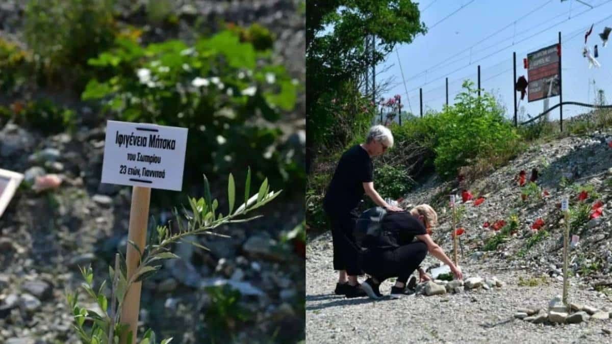 Τραγωδία στα Τέμπη: Φύτεψαν δέντρα στον τόπο του δυστυχήματος και τους έδωσαν τα ονόματα των θυμάτων