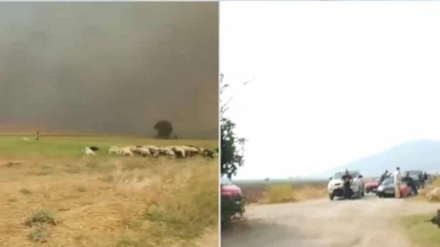 «Δε μπορούσα να τον αφήσω»: Μεγάλη αναζωπύρωση στα Βάγια Βοιωτίας – Απεγκλωβισμός πατέρα και γιου από κτηνοτροφική μονάδα