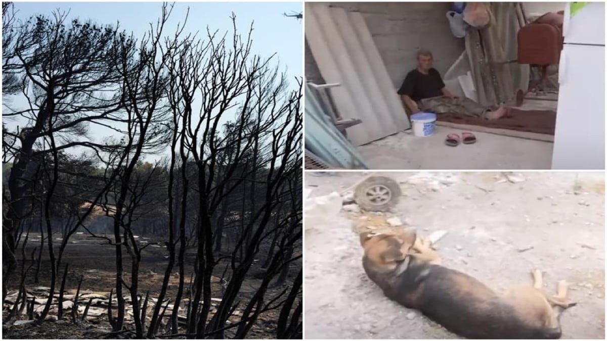 Συγκλονίζουν οι πληγέντες της Πάρνηθας: Κάτοικος κοιμάται στην αυλή με μόνη παρέα τον σκύλο του – «Θα το ξαναφτιάξω…» (video)