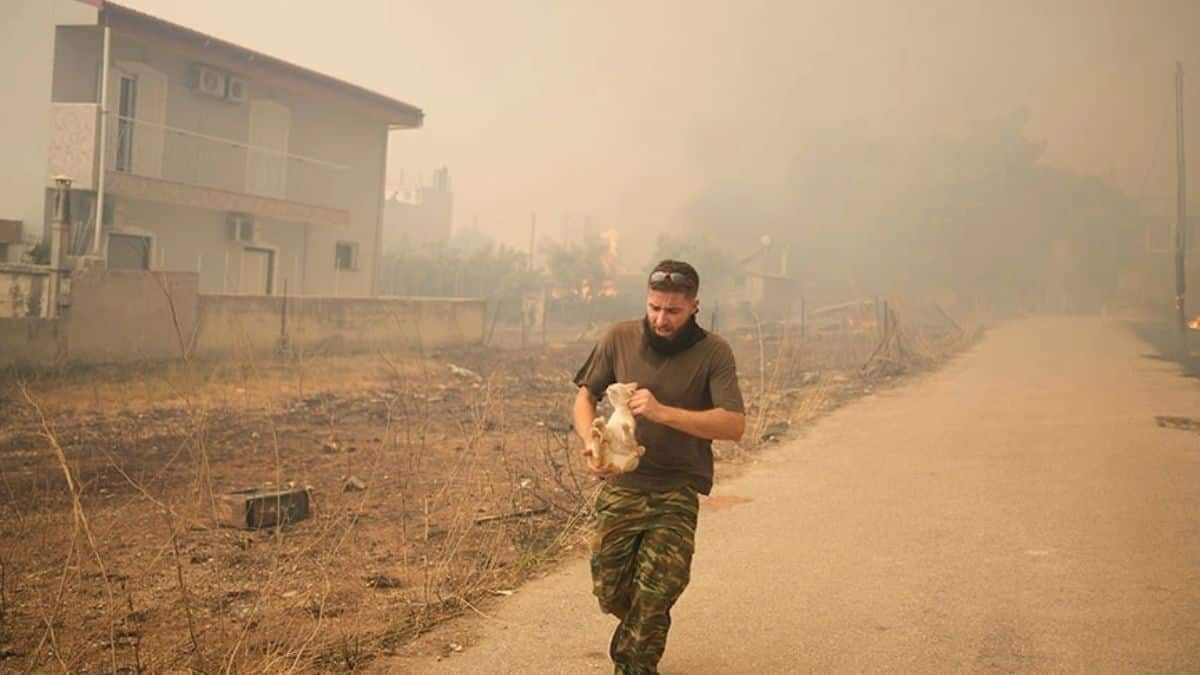 Φωτιά στην Πάρνηθα: Κάτοικος τρέχει να σωθεί με μια γάτα στα χέρια (photos)