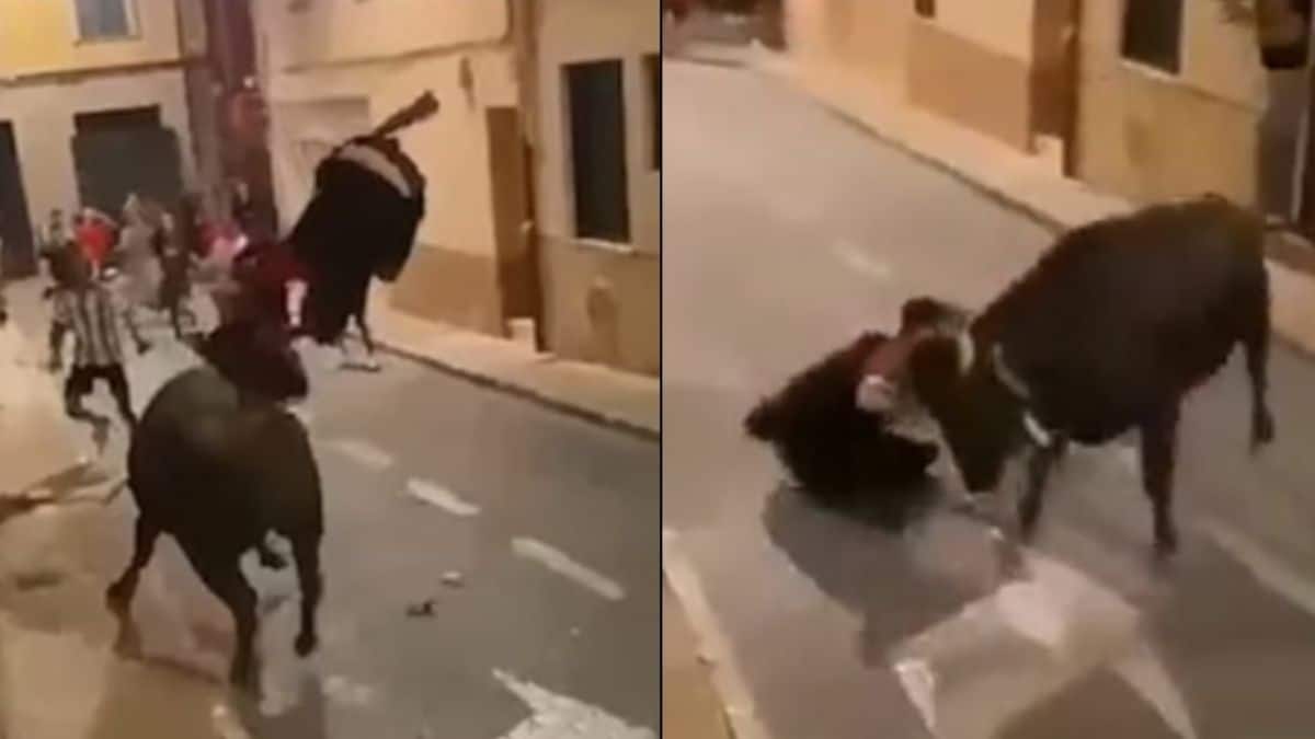 Σκληρό βίντεο: Ταύρος ποδοπατά και «ξεκοιλιάζει» 19χρονο στη μέση του δρόμου