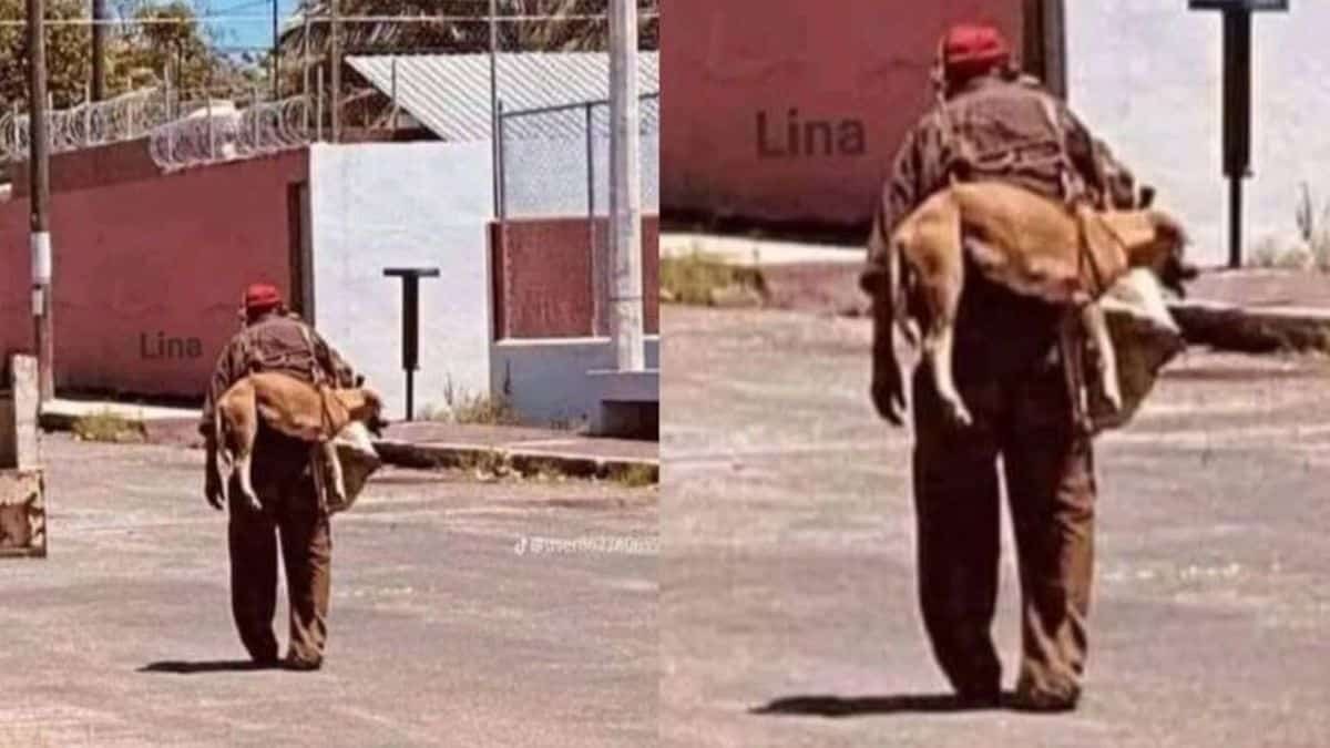 Χωρίς λόγια: Άντρας κουβαλάει αδέσποτο σκύλο στην πλάτη του γιατί η άσφαλτος καίει