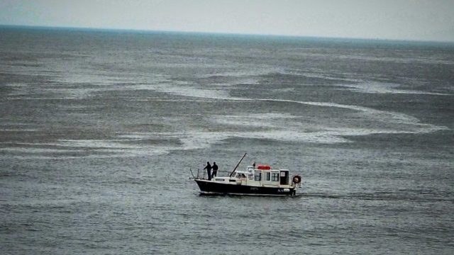 Πτώση ελικοπτέρου στην Εύβοια: Ο πιλότος δεν φορούσε ζώνη και χτύπησε στο κεφάλι – Προσπαθούσε να απεγκλωβιστεί
