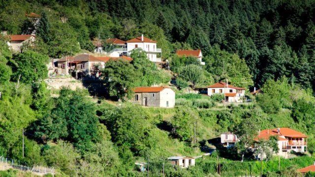Ζαρούχλα: Το ορεινό χωριό της Αχαΐας που είναι πνιγμένο στα έλατα
