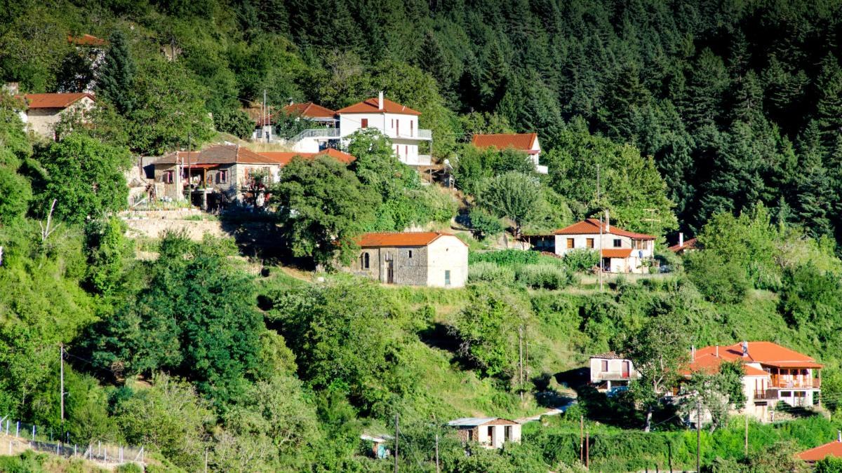 Ζαρούχλα: Το ορεινό χωριό της Αχαΐας που είναι πνιγμένο στα έλατα