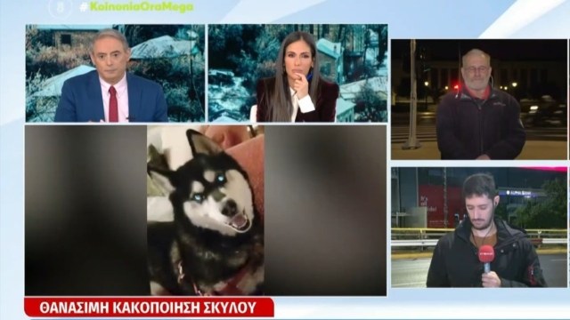 Απίστευτο ξέσπασμα της Ανθής Βούλγαρης on air: «Εγώ στην Αράχωβα δεν θα ξαναπατήσω το πόδι μου μέχρι να ανοίξουν τα στόματα…»