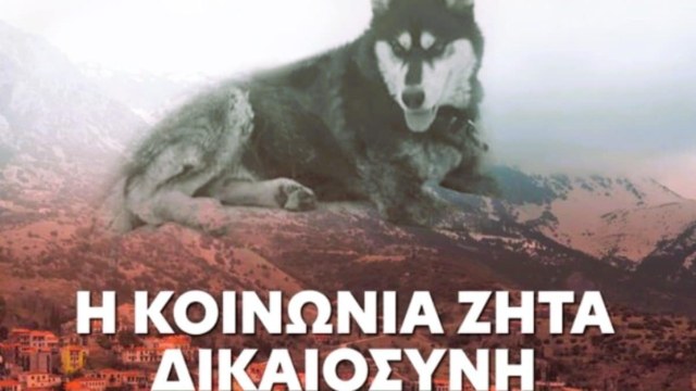 Ανατριχιάζει η κτηνίατρος που παρέλαβε τον Όλιβερ: «Δεν έχω ξαναδεί κάτι τέτοιο εδώ και τριάντα χρόνια που ασκώ αυτό το επάγγελμα»