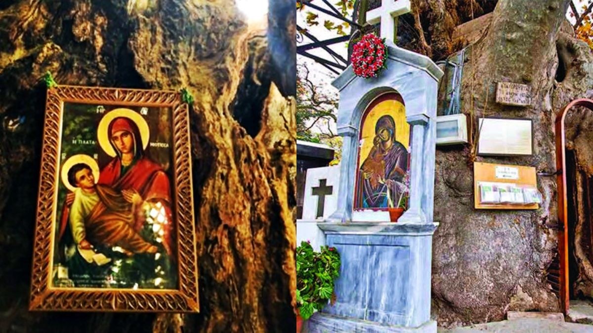 Παναγία Πλατανιώτισσα: Το γραφικό εκκλησάκι της Πελοποννήσου που είναι φωλιασμένο μέσα σε ένα δέντρο