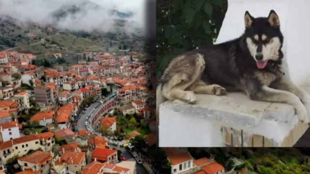 Κτηνωδία στην Αράχωβα: «Έχω να καταθέσω σημαντικά πράγματα και δεν με δέχονται στο ΑΤ» – Ταράζει τα «νερά» νέα καταγγελία μάρτυρα