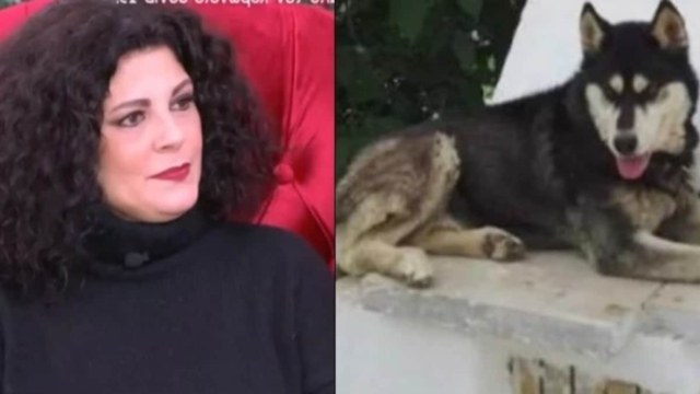 Άγριο ξέσπασμα από Τάνια Τρύπη: «Το τέρας που κακοποίησε το χάσκι στην Αράχωβα, θα κάνει τα ίδια και σε ένα παιδί»
