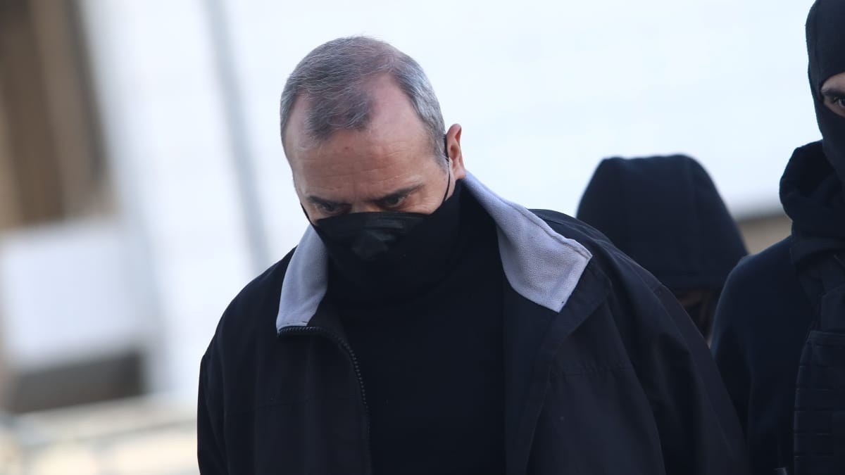 Καθηγήτρια του ΕΚΠΑ είπε όσα κανείς δεν τόλμησε για τον Ηλία Μίχο: «Δεν μπορώ πιο ξεκάθαρα να το πω, καλύπτει…» (video)