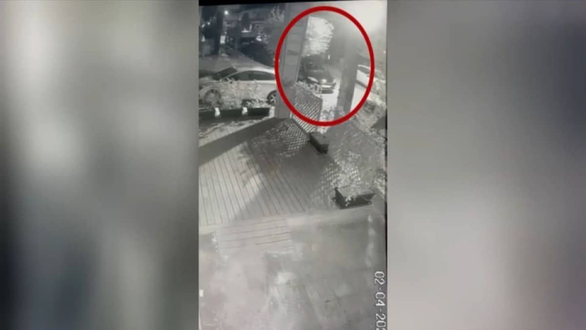 Εξοργιστικό βίντεο από τη Νέα Ιωνία: 69χρονη πέταξε στα σκουπίδια 4 κουταβάκια – Της επιβλήθηκε πρόστιμο 120.000 ευρώ!