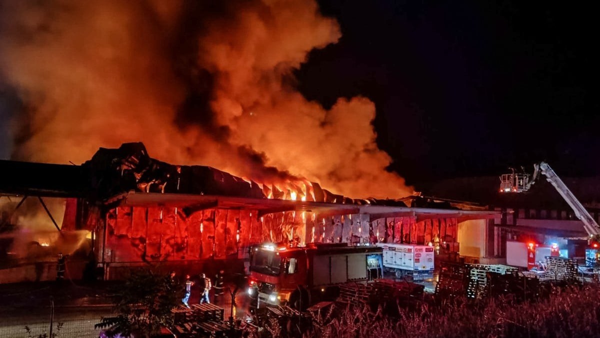 Λαμία: Πολλά ερωτήματα για τη φωτιά στο εργοστάσιο που παρασκεύαζε τα μολυσμένα σχολικά γεύματα (video)