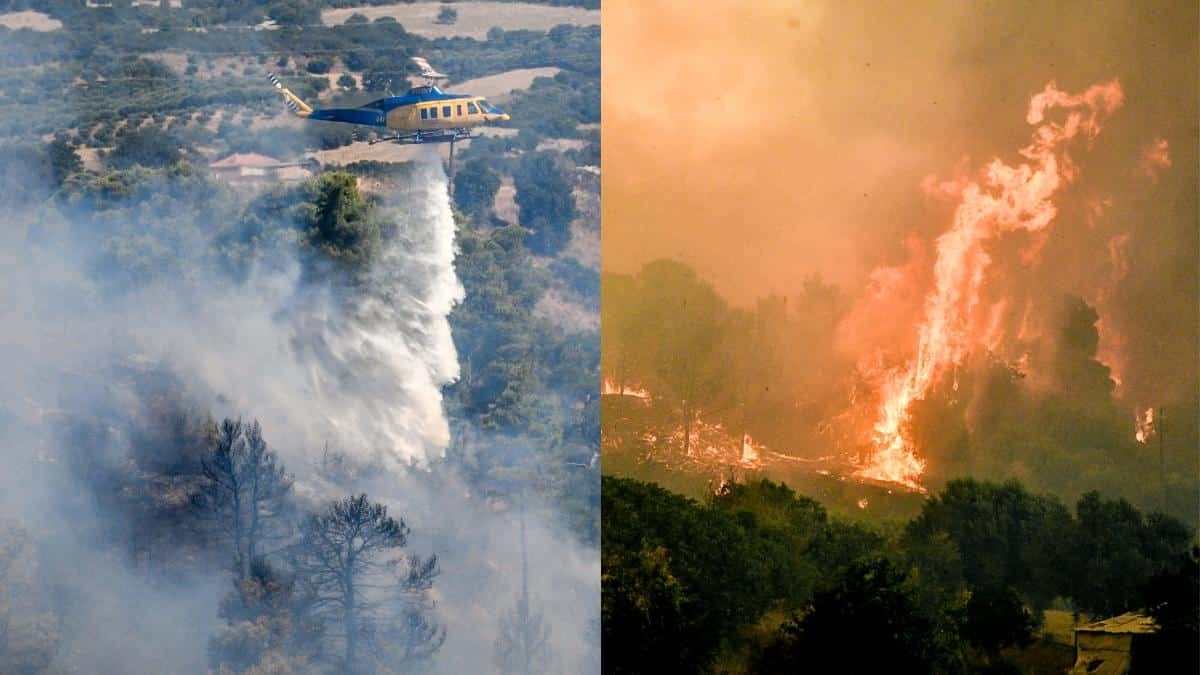 Σε κατάσταση συναγερμού όλη η χώρα: 66 πυρκαγιές εκδηλώθηκαν το τελευταίο 24ωρο – Πως εξελίσσεται η κατάσταση στα «πύρινα» μέτωπα (video)