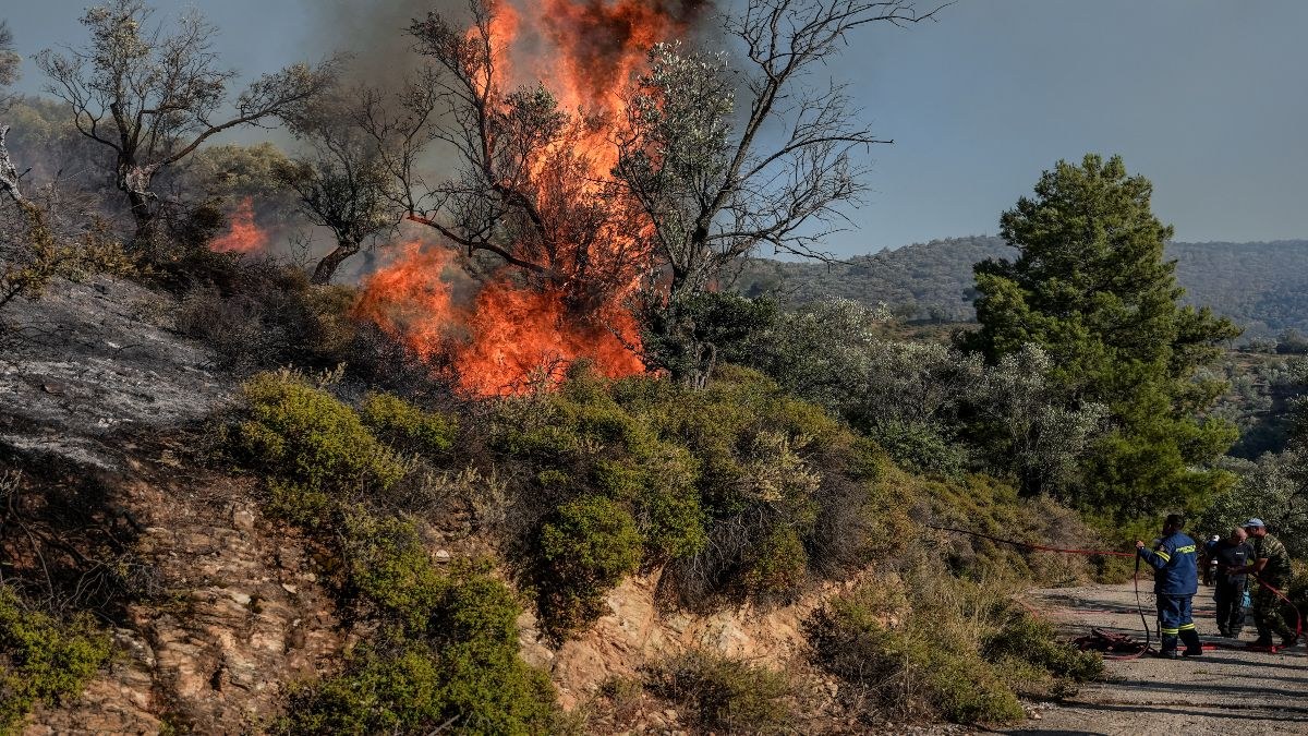 Φωτιά τώρα στη Θήβα – Μεγάλη κινητοποίηση της Πυροσβεστικής με 3 αεροσκάφη