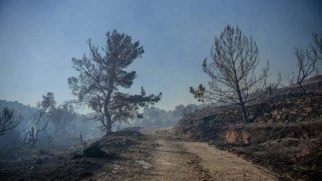 Φωτιά στη Μεγαλόπολη Αρκαδίας: Σηκώθηκαν εναέρια μέσα