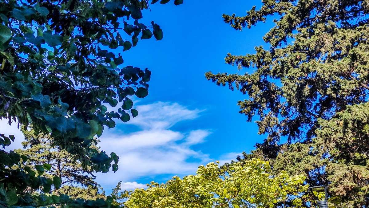 Καιρός σήμερα 2/6: Εκτόξευση υδραργύρου και πρώτα 40άρια – Καθολική επαναφορά αφρικανικής σκόνης στη χώρα (video)
