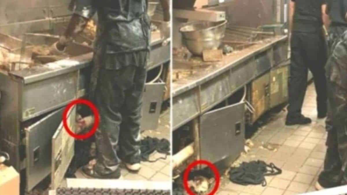 Μπήκε με κρυφή κάμερα σε κουζίνα διάσημου εστιατορίου και αυτό που αντίκρισε έχει εξοργίσει όλο το διαδίκτυο!