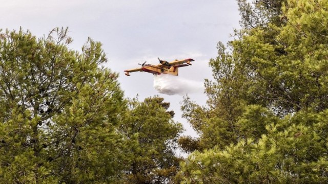 Φωτιά στο Βελβεντό Κοζάνης: Κινητοποίηση της πυροσβεστικής – Επιχειρεί και ελικόπτερο