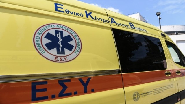 Τρόμος στην Καστοριά: Αδέσποτο τσομπανόσκυλο επιτέθηκε και δάγκωσε δύο 8χρονα παιδιά