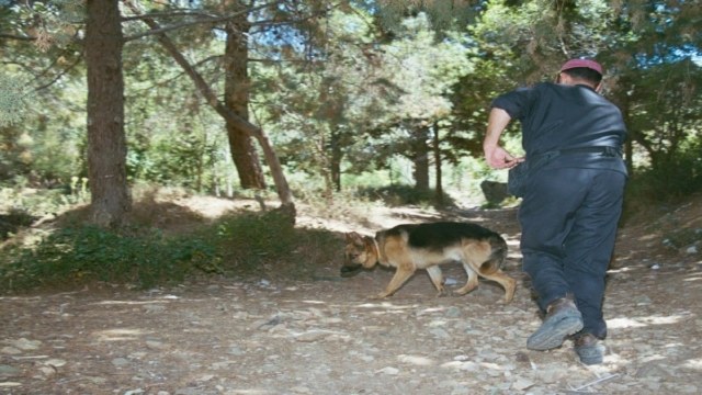Αγνοείται ηλικιωμένη στα Τζουμέρκα: Αναστατωμένη η τοπική κοινωνία – Έρευνες από αστυνομία και ΕΜΑΚ για τον εντοπισμό της