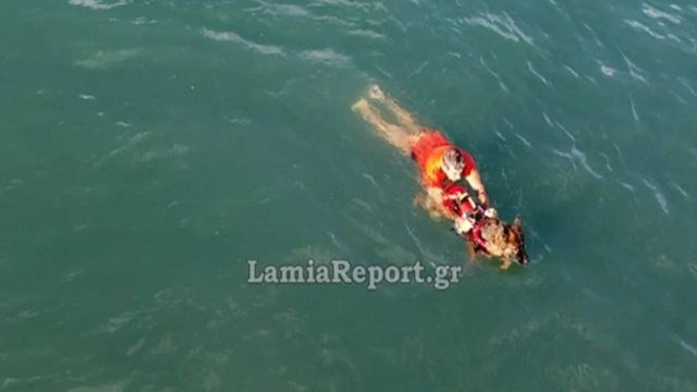 Σκύλος ναυαγοσώστης έσωσε από πνιγμό έναν ηλικιωμένο στα Καμένα Βούρλα (video)