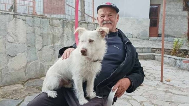 Φρίκη στην Φλώρινα: Σκότωσαν με τσεκούρι τον σκυλάκο ηλικιωμένου που έχασε γιο και σύζυγο σε τρία χρόνια