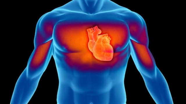 Καρδιακές παθήσεις και υγιεινή διατροφή: 8 βήματα για την πρόληψη τους