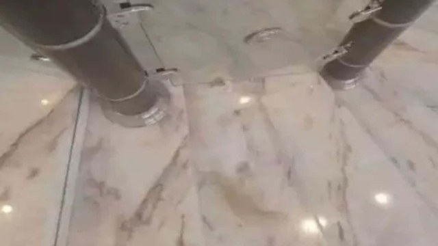 Οπτική ψευδαίσθηση: Μπορείτε να βρείτε τη γάτα σε 5 δευτερόλεπτα;