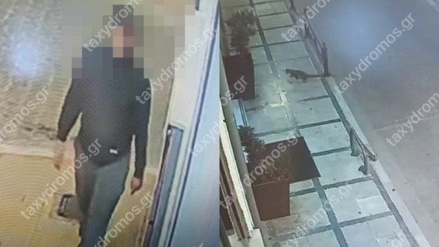 Αναζητούν serial killer αδέσποτων γατιών και σκυλιών στον Βόλο – Τα 12 αποτρόπαια περιστατικά (video)