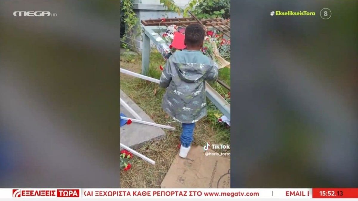 Συγκίνηση: Μπόμπιρας γίνεται viral αφήνοντας γαρίφαλο στη μνήμη των θυμάτων του Πολυτεχνείου (video)