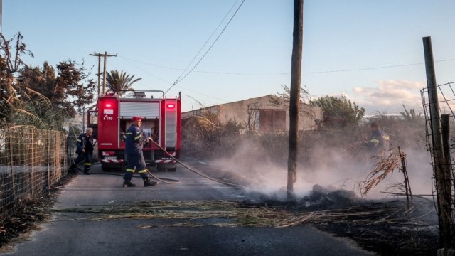 Φωτιά τώρα στη Βοιωτία – Κινητοποιήθηκε η Πυροσβεστική
