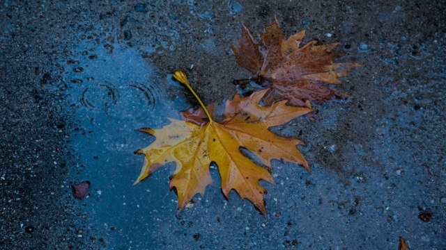 Καιρός 17/11: Φεύγει η κακοκαιρία, «κάθονται» τα χιόνια – Πού δίνουν βροχές Μαρουσάκης και Αρνιακός