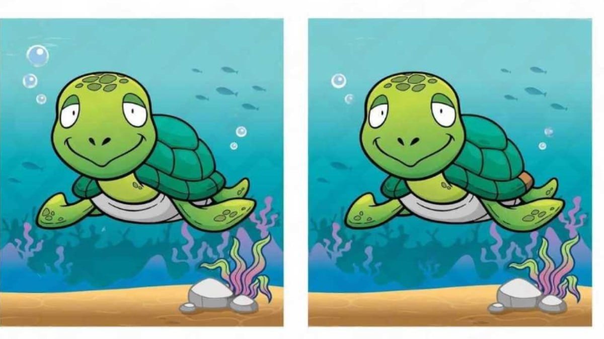 Τεστ IQ: Εντοπίστε τις διαφορές μεταξύ των εικόνων της χελώνας στο νερό σε 15 δευτερόλεπτα!