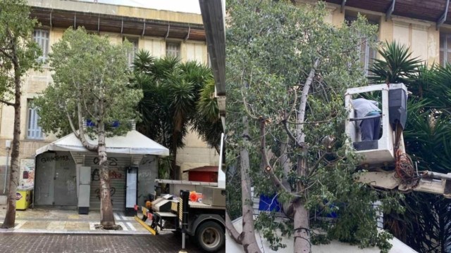 Ηράκλειο: Δέντρο έπεσε πάνω σε περίπτερο! (photos)