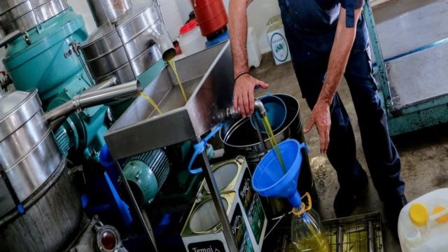 «Κλείδωσε» η τιμή του ελαιόλαδου -Πόσο πάει ο τενεκές σήμερα – Πού αναμένεται να φτάσει το 2025