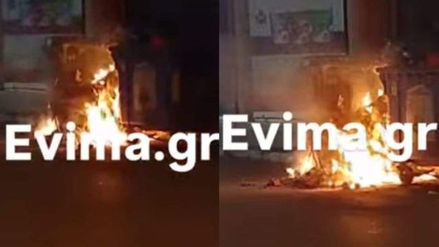 Φρικωδία στην Εύβοια: Απάνθρωποι έκαψαν κουτάβια σε κάδο (video)